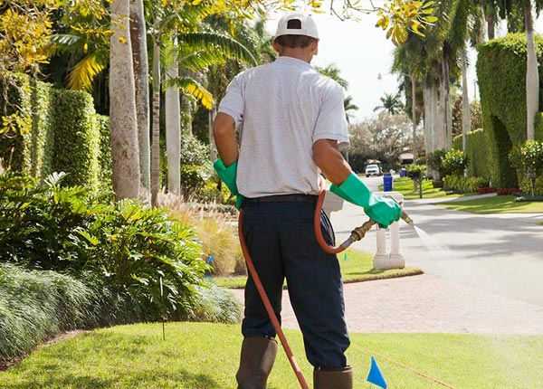 About Knob Lick KY Pest Control